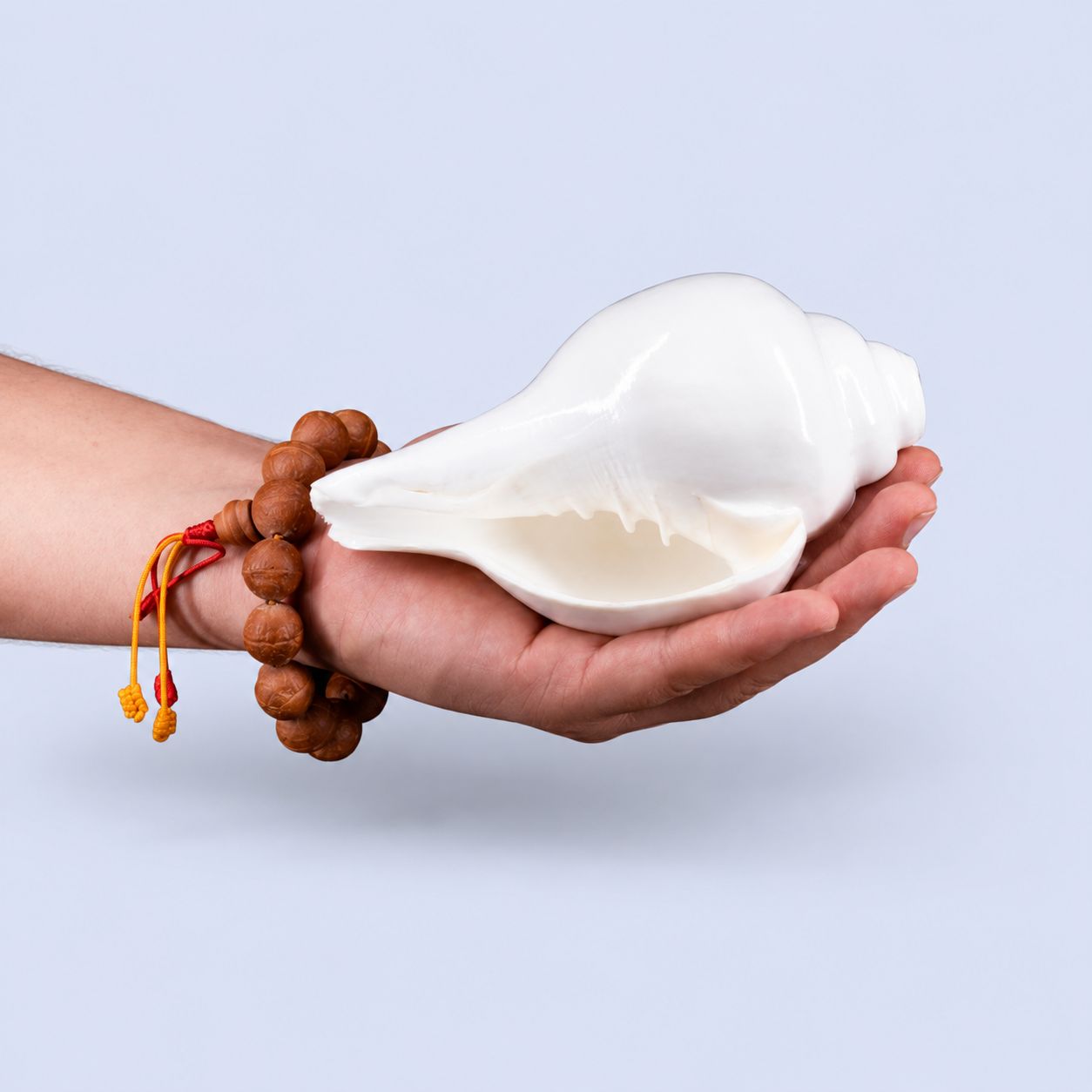 Plain Shankha High-Quality (Sacred Conch Shell)