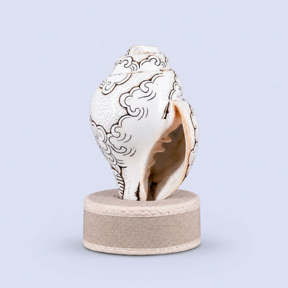Buddha Carved Shankha High-Quality (Sacred Conch Shell)