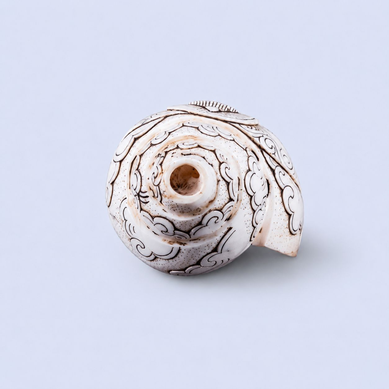 Buddha Carved Shankha High-Quality (Sacred Conch Shell)