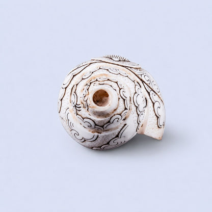 Buddha Carved Shankha High-Quality (Sacred Conch Shell)