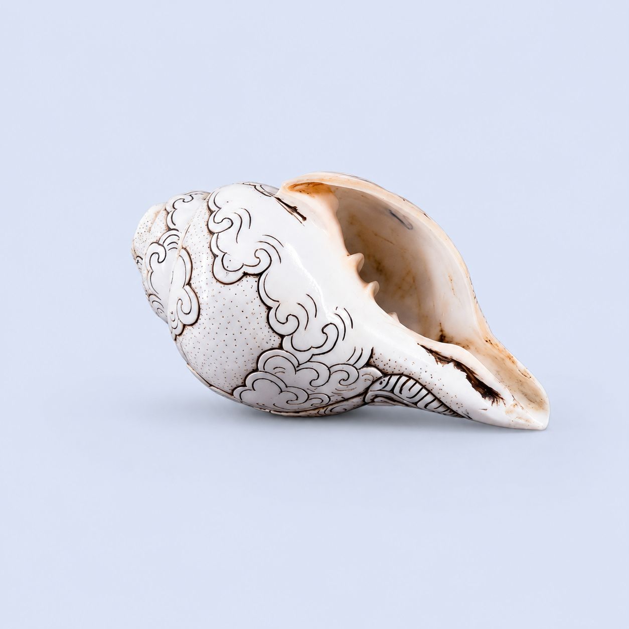 Buddha Carved Shankha High-Quality (Sacred Conch Shell)