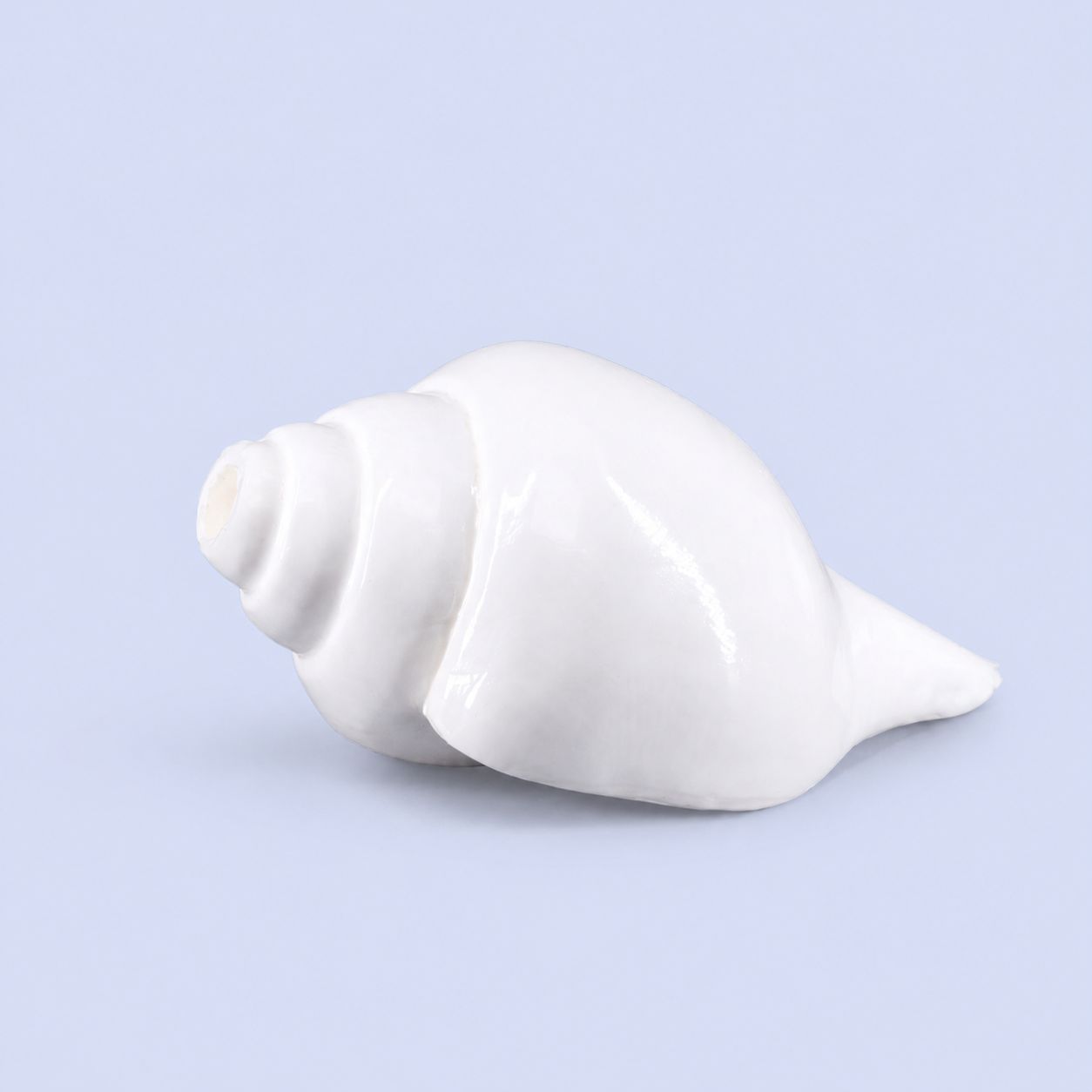 Plain Shankha High-Quality (Sacred Conch Shell)