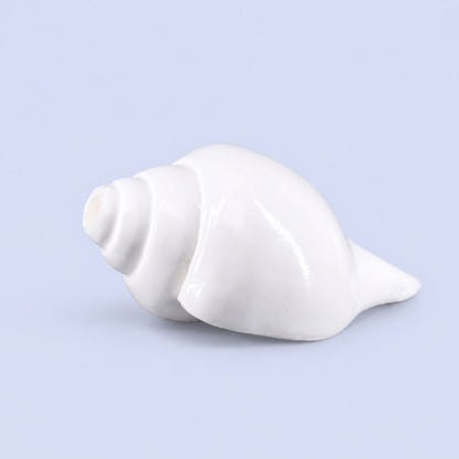 Plain Shankha High-Quality (Sacred Conch Shell)