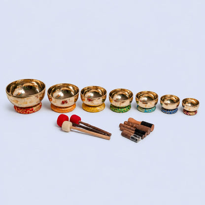 Professional Chakra Healing Singing Bowl Set