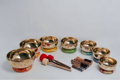 Professional Chakra Healing Singing Bowl Set