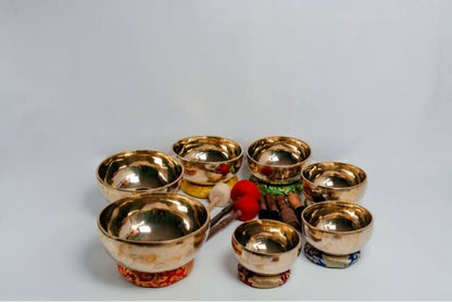 Professional Chakra Healing Singing Bowl Set