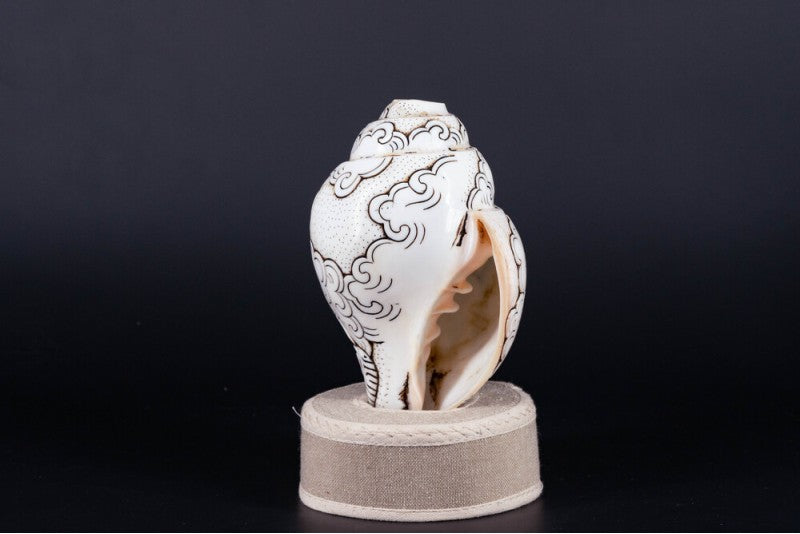 Buddha Carved Shankha High-Quality (Sacred Conch Shell)