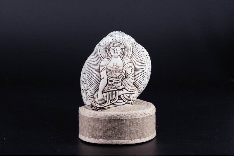 Buddha Carved Shankha High-Quality (Sacred Conch Shell)