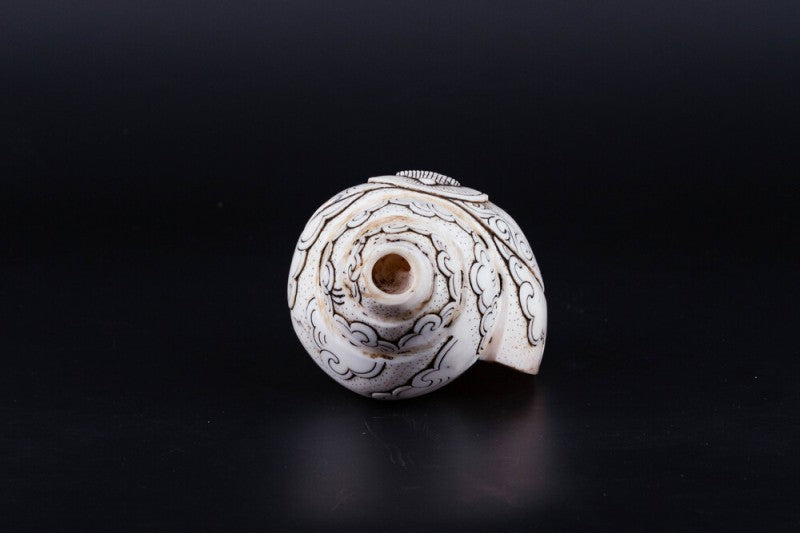 Buddha Carved Shankha High-Quality (Sacred Conch Shell)