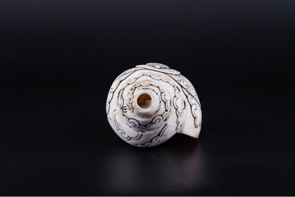 Buddha Carved Shankha High-Quality (Sacred Conch Shell)