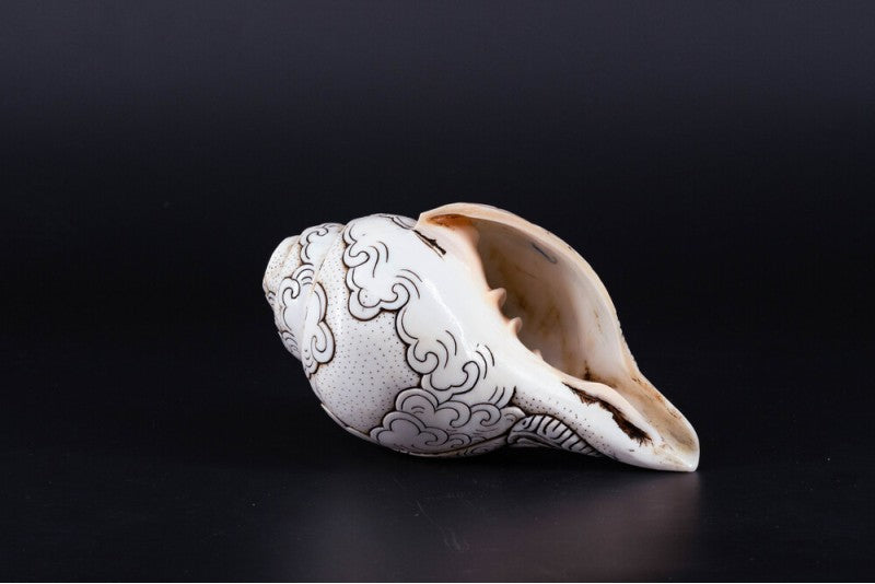 Buddha Carved Shankha High-Quality (Sacred Conch Shell)